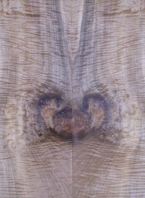 myrtlewood burl 11